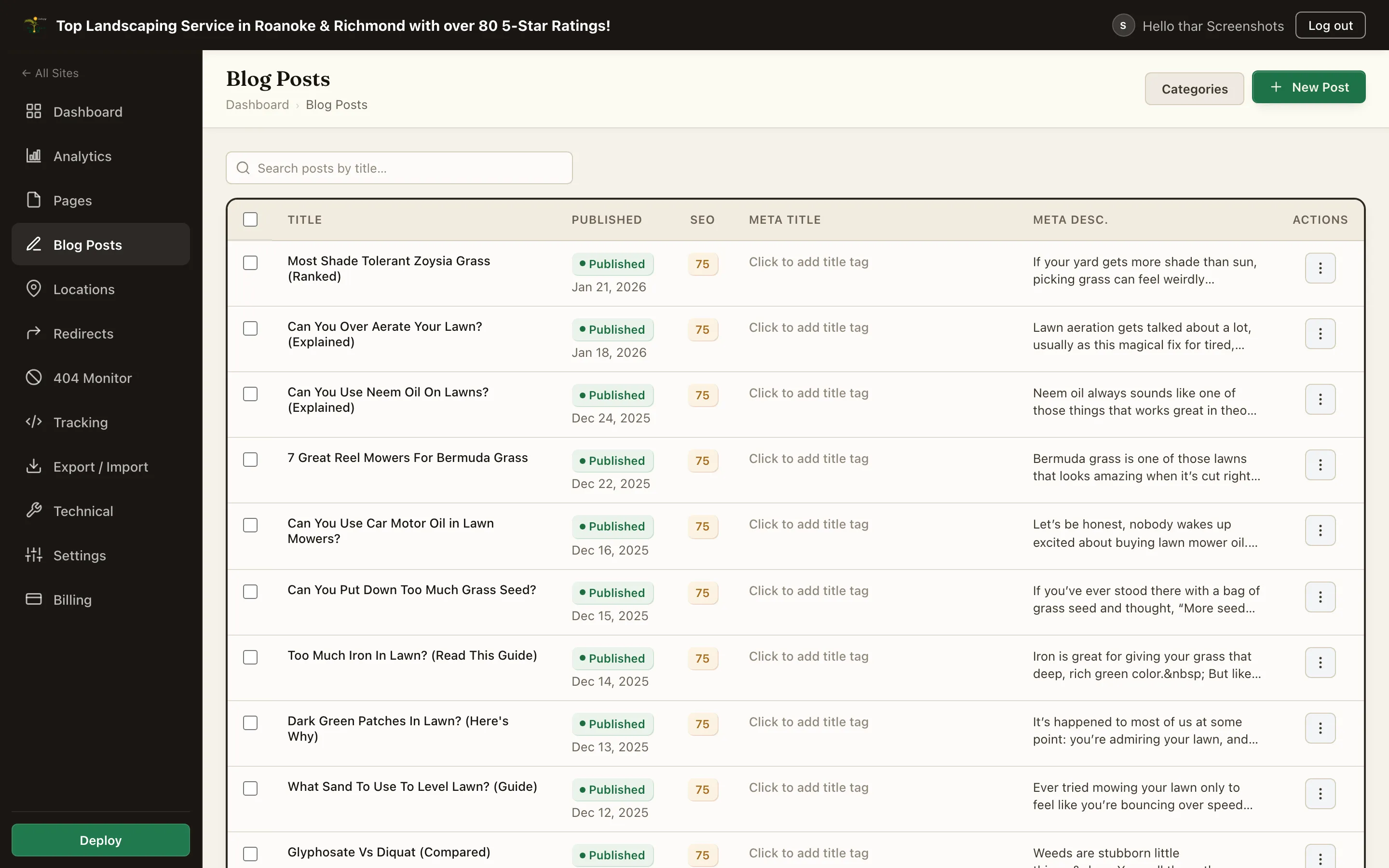 The Blog Posts list with publish dates, SEO scores, and meta descriptions for each post